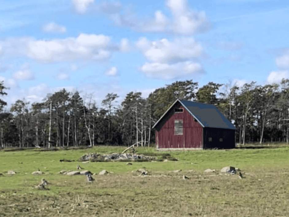 Statister sökes till kortfilmsinspelning på Fårö!