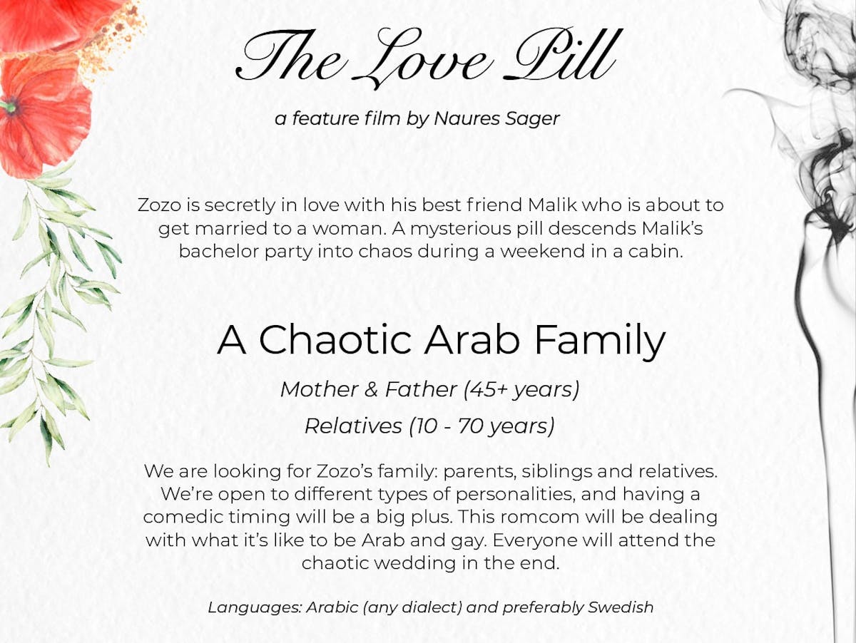 CASTING CALL for The Love Pill -A Chaotic Arab Family